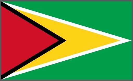 Flagge Guyana